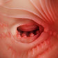 Tantaly Candice Lebens große Sex Puppe